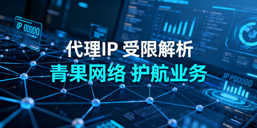 代理IP访问受限：原因排查与适配方案选择