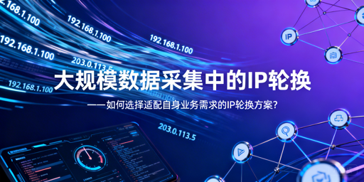 大规模数据采集：IP轮换方案该怎么选？