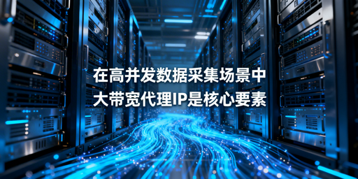 高并发数据采集的流量瓶颈解析：大带宽代理IP的核心价值与选型要点