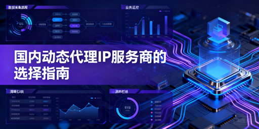 企业如何挑选靠谱的国内动态代理IP服务商？