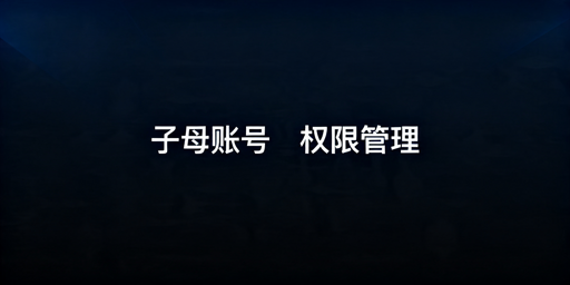 跨境电商店铺员工权限管理实操与安全优化指南