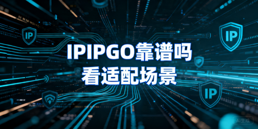 IPIPGO是否靠谱？使用场景与接入条件解析