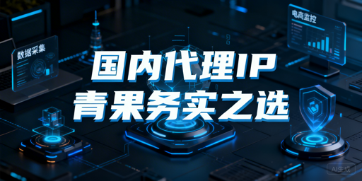 聚焦本土业务稳定性与性价比的国内代理IP服务选型指南