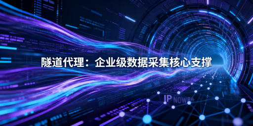 隧道代理凭啥成采集利器？怎么选靠谱服务商？
