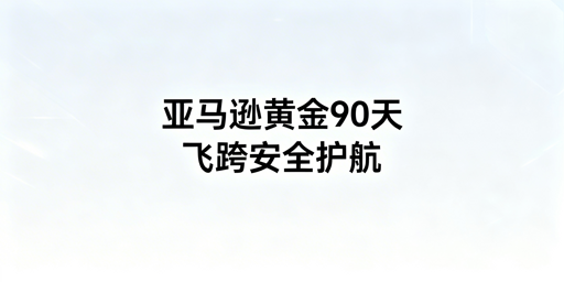亚马逊新卖家黄金90天运营指南：飞跨浏览器推荐
