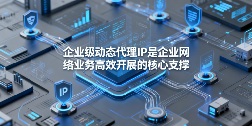 企业如何选靠谱又适配业务的动态代理IP？