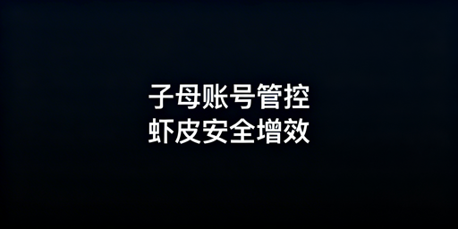 Shopee子母账号安全管理全攻略：保安全提效率