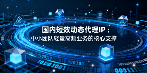 中小团队如何选高性价比短效动态代理？