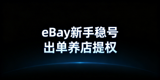 eBay新手开店全流程：合规稳号 出单养店