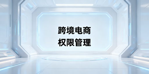 跨境电商团队员工权限分配及风险管控指南