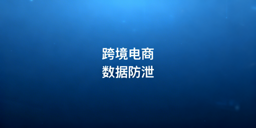 跨境电商数据防泄漏：全链路防控及飞跨浏览器推荐