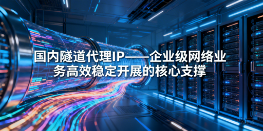 企业该如何挑选靠谱的国内隧道代理IP？