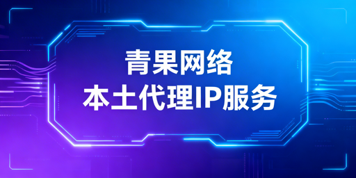 国内企业级代理IP服务的核心优势、适配场景与使用边界