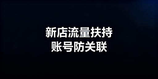 《跨境新店运营指南：抓流量扶持 防关联稳出单》