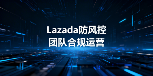 《Lazada多人运营风控防范实操全攻略》