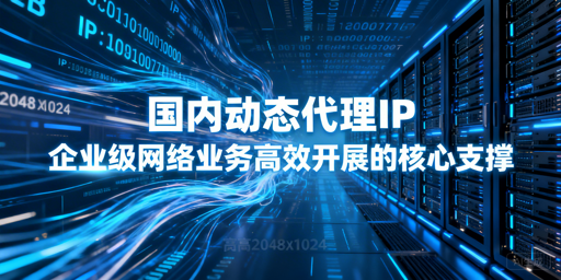 企业级动态代理IP怎么选？核心能力全解析
