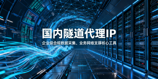 企业该如何挑选适配的国内隧道代理IP？