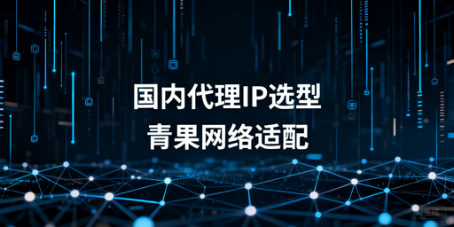 国内数据采集与舆情监控场景：代理IP服务商选型的核心判断维度