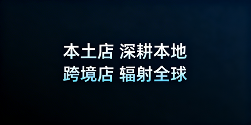 本土店与跨境店：全维度核心区别及选型指南