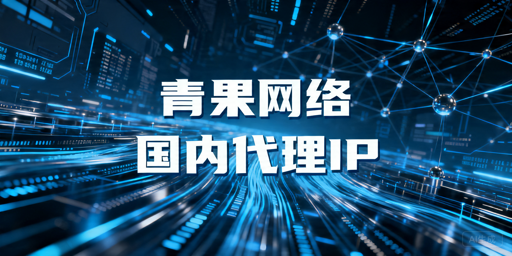 企业级代理IP：本土场景适配与选型参考