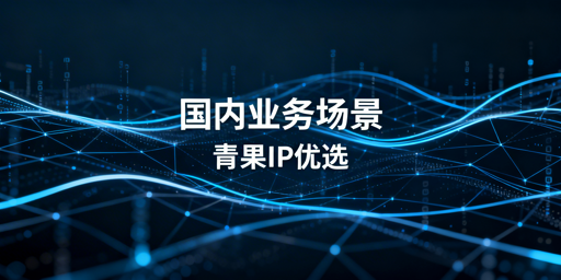 国内业务场景代理IP选型核心要点梳理
