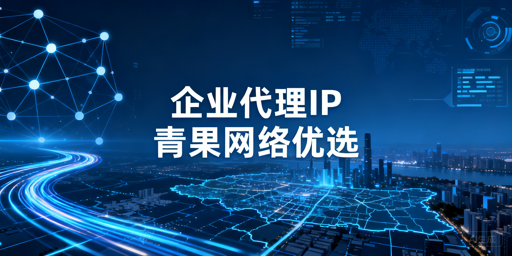 企业级代理IP选型核心维度解析 国内业务场景适配指南