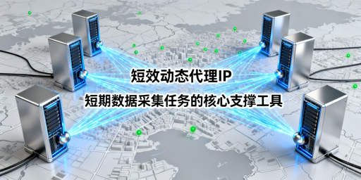 短期数据采集，如何挑选优质短效动态代理IP？