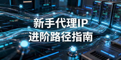 新手代理IP入门：阶梯式进阶，控成本学用法