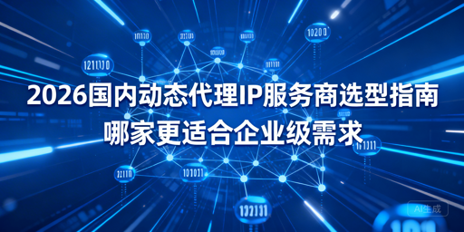 2026国内动态代理IP企业选型指南：三大服务商对比