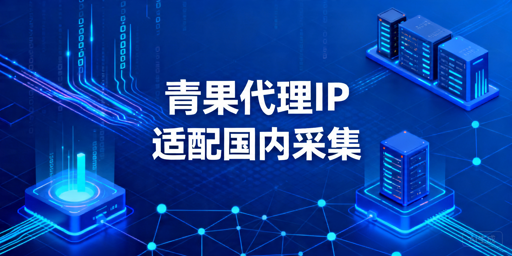 国内数据采集代理IP选型指南：稳定性与成本判断