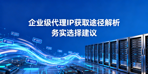 企业级代理IP怎么选？3种途径及核心标准解析